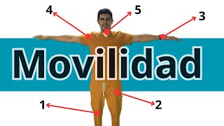 10 Ejer Movilidad para evitar la rigidez articular [upl. by Nnaycnan]