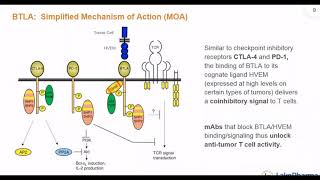 102 Discovery of Potent Functional Antibodies Using Hybridoma amp Phage Display Platforms Webinar [upl. by Eskil]