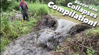 Beaver dam COLLAPSES COMPILATION [upl. by Ardnoel]