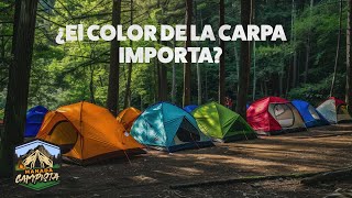 ¿Cómo Escoger el Color de la Carpa ¿Importa el color [upl. by Naihtniroc750]