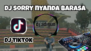 dj sorry nyanda barasa dj adigun remix [upl. by Annid590]