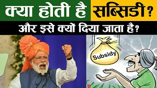 What is Subsidy  Why is Subsidy given [upl. by Dian]