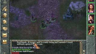 Lets Play Baldurs Gate 016 Friendly Arm Inn [upl. by Spieler]