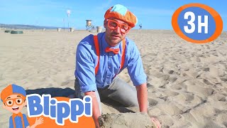 Super Sunny Beach Day  BLIPPI  Kids TV Shows  Cartoons For Kids  Fun Anime  Popular video [upl. by Hillegass372]