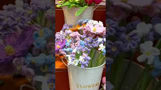 Hagerstown Maryland2024 travel video america flowers new shortvideo shorts love beautiful [upl. by Edlin]