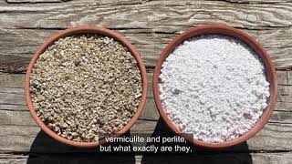 Vermiculite vs Perlite Whats the difference [upl. by Delahk665]