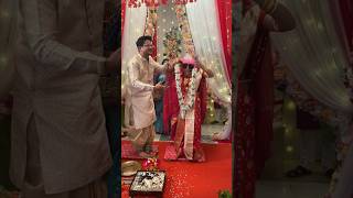 Mithijhora Serial Rai Ani zeebangla youtubeshorts trending viral ytshorts shorts wedding [upl. by Toney579]