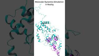 Molecular Dynamics approach simulations moleculardocking moleculardynamics bioinformatics [upl. by Zena]