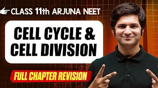 Cell Cycle amp Division  COMPLETE Chapter in 1 Video  Quick Revision  Class 11th Arjuna NEET [upl. by Ennire428]