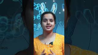 ഇനി ഇതിൽ നിങ്ങൾക്ക് Confusions ഉണ്ടാവില്ല😱🤩  Understanding Chromosomes DNA Genes and Cistrons 🤩🔥 [upl. by Asseral36]