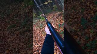 Hämmerli Hunter Force 900 Airgun Shot [upl. by Jard627]