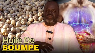 Bienfaits Huile de SOUMPE  Pr Ousmane Ndiaye  LansarrTV [upl. by Elman]