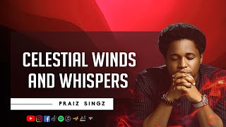 Praiz Singz  Celestial Winds and Whispers  Song of healing  Therapeutic Worship [upl. by Mannes649]