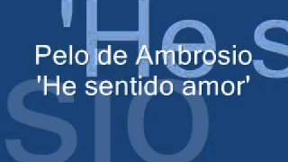 Pelo de Ambrosio He sentido amor [upl. by Towers895]