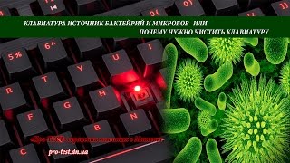 Как почистить клавиатуру или клавиатура источник бактерий и микробов [upl. by Nitsirc]