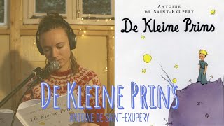 DE KLEINE PRINS  Widening Circles Audioboeken [upl. by Soinski]