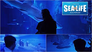 Sea Life London Aquarium Complete Walkthrough Tour 2024 4K  Mr SoLo  London UK [upl. by Eiramlatsyrc]