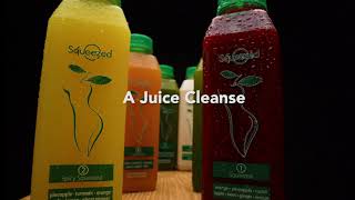 Juice Cleanse Climb to Success 15 [upl. by Aibat271]