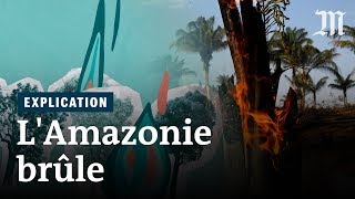 Pourquoi lAmazonie brûle et pourquoi cest grave [upl. by Huebner417]