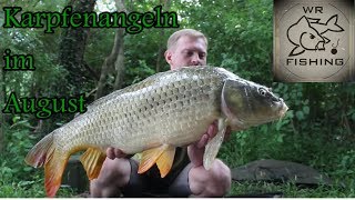 Karpfenangeln im August  wr fishing [upl. by Ronym]