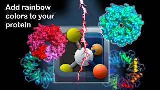 PyMOL How to add rainbow spectrum colors to protein using Pymol  PyMOL tutorial  Pymol studio [upl. by Inaleon]