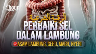 RUQYAH PERBAIKI SEL DALAM LAMBUNG  الرقية الشرعية [upl. by Leese910]