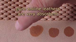 TYPES OF LEATHER  WATER SENSITIVITY  COLOURLOCK [upl. by Ilanos520]