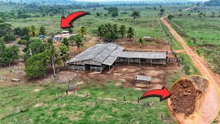 Excelente propriedade Rural a venda em São Félix do xingu Pará Fazenda 26 alqueires [upl. by Selene]