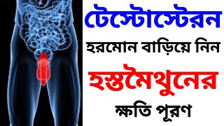 টেস্টোস্টেরন হরমোন বৃদ্ধির উপায়।Testosterone hormone baranor upayটেস্টোস্টেরন হরমোন বৃদ্ধির খাবার। [upl. by Naenaj]