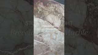 Stone Spotlight  Breccia Pernice Marble [upl. by Solokin42]