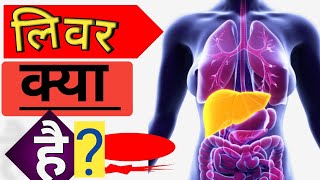 Liver kya haiLiver ki puri jankariLiver kaha hota hai [upl. by Ynohtn]