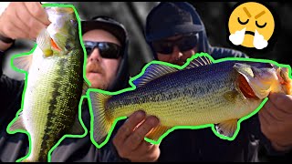 CATCH BASS on Tough Days April Fishing [upl. by Teodoor]