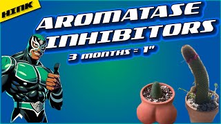 Aromatase Inhibitors 1 inch in 3 months Science Explained [upl. by Jenn]