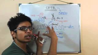 CFTR gene and CFTR protein [upl. by Macmullin]