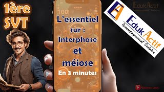 Lessentiel sur linterphase et la méiose en 3 minutesPremière spécialité SVT meiose méiose svt [upl. by Dranrev150]