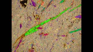 Tremolite in thin section [upl. by Llieno247]