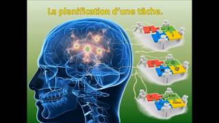 Le MémoPuzzle activité cognitive pour malades dAlzheimer [upl. by Reisch]