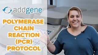 Polymerase Chain Reaction PCR Protocol [upl. by Ylac]