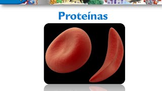 Curso de Bioquimica Proteinas [upl. by Litnahc]