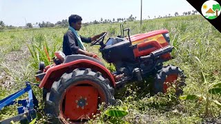 Mahindra JIVO 245 DI 4WD mini tractor  New Mahindra JIVO Tractor  Come to village [upl. by Krenn]