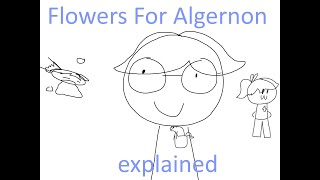 Flowers For Algernon Explained [upl. by Grous]