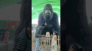 King  Kong  Kha Jayega 😱 shorts [upl. by Assylem]