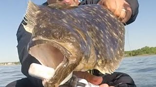 Targeting Early Spring Flounder  New Jersey Kayak Fishing  Fluke Fishing [upl. by Petie]