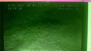 Giant Isopod Attacks ROV in Gulf of Mexico Deepwater Horizon MC252 Seabed Eruption shortly after [upl. by Nilpik608]