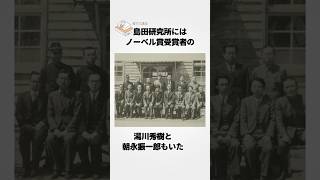 【日本軍最後のウルトラC】陸海軍が共同で開発に当たった怪力光線Zに関する雑学 [upl. by Pattison]