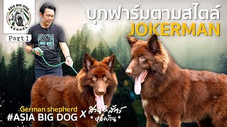 ของดีต้องมาดู Joker vs Asia Big Dog  part 1 [upl. by Ayana12]