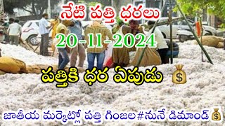 20112024 today cotton prices warangal khammam cotton prices adoni cotton price todayపత్తి ధరలు [upl. by Femi886]