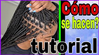 3 Peinados Fáciles con Trenzas Africanas  Peinados con Trenzas  Belleza sin Límites [upl. by Pedaiah]