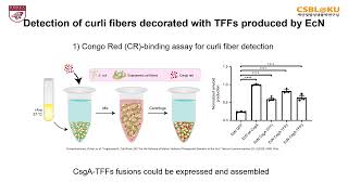 Engineered E coli Nissle 1917 for the delivery of matrixtethered therapeutic domains to the gut [upl. by Volney452]