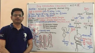 Pharmacokinetic ADME  Excretion of Drug From Body  Drug Excretion  Kinetics of Elimination [upl. by Ibson]